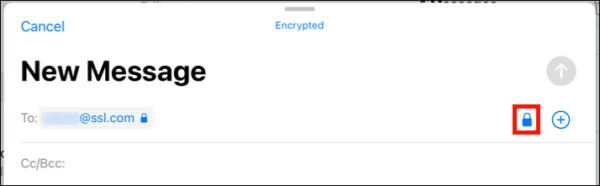 Encryption toggle